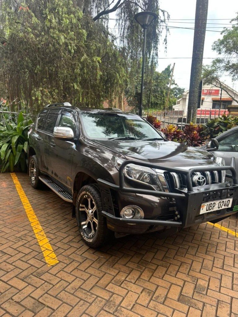 Land Cruiser Prado in the Stim fleet